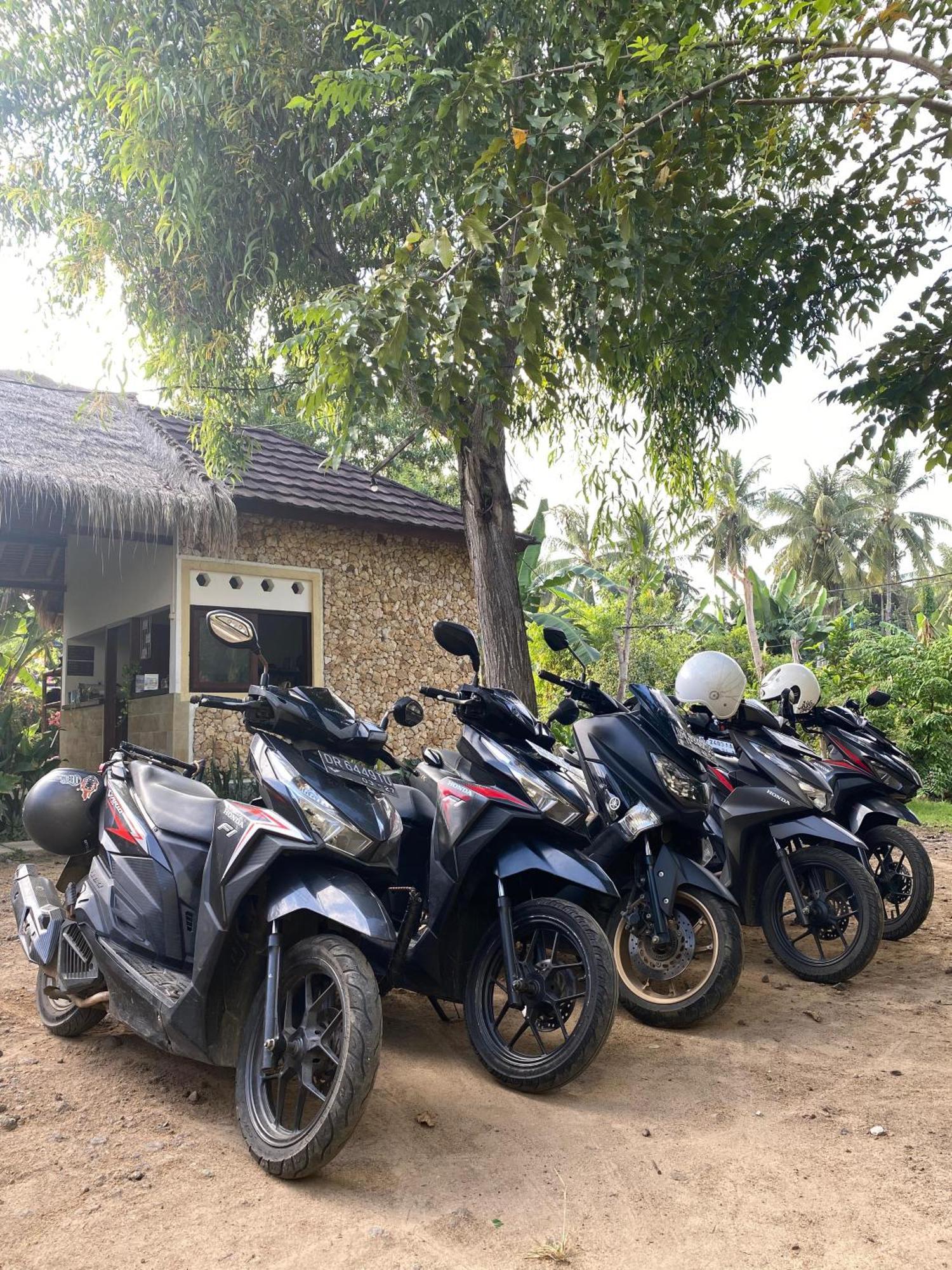 Cewin'S Homestay Kuta  외부 사진